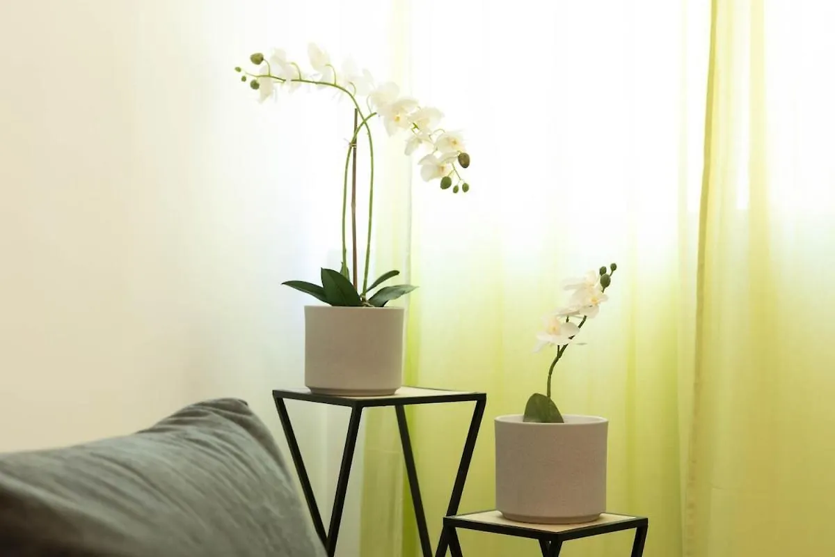 Marel Bliss Apartments T3 - Lidia Mindelo